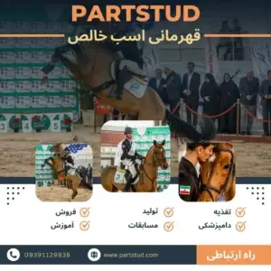 قهرمانی آقای امیر محمد حسینعلی -افتخارات-پارت