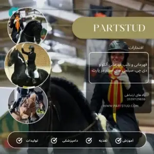 افتخارات-آلکو سیلمی